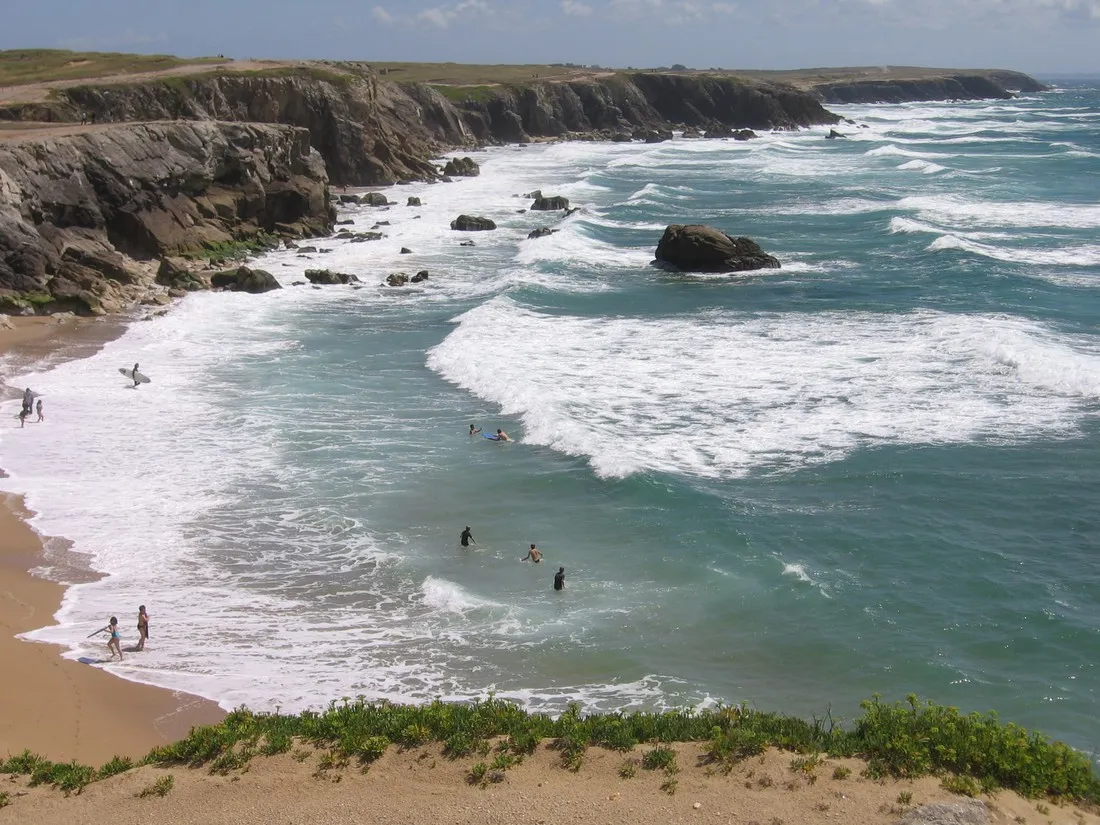 le-bois-d-amour-quiberon-murgw