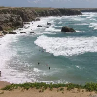 le-bois-d-amour-quiberon-murgw