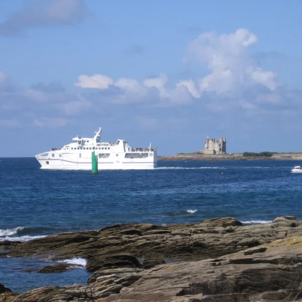 le-bois-d-amour-quiberon-shyhu