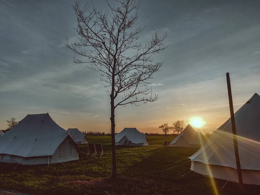 farmglamping-de-scheurwei-toldijk-mmton