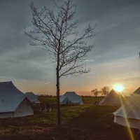 farmglamping-de-scheurwei-toldijk-mmton