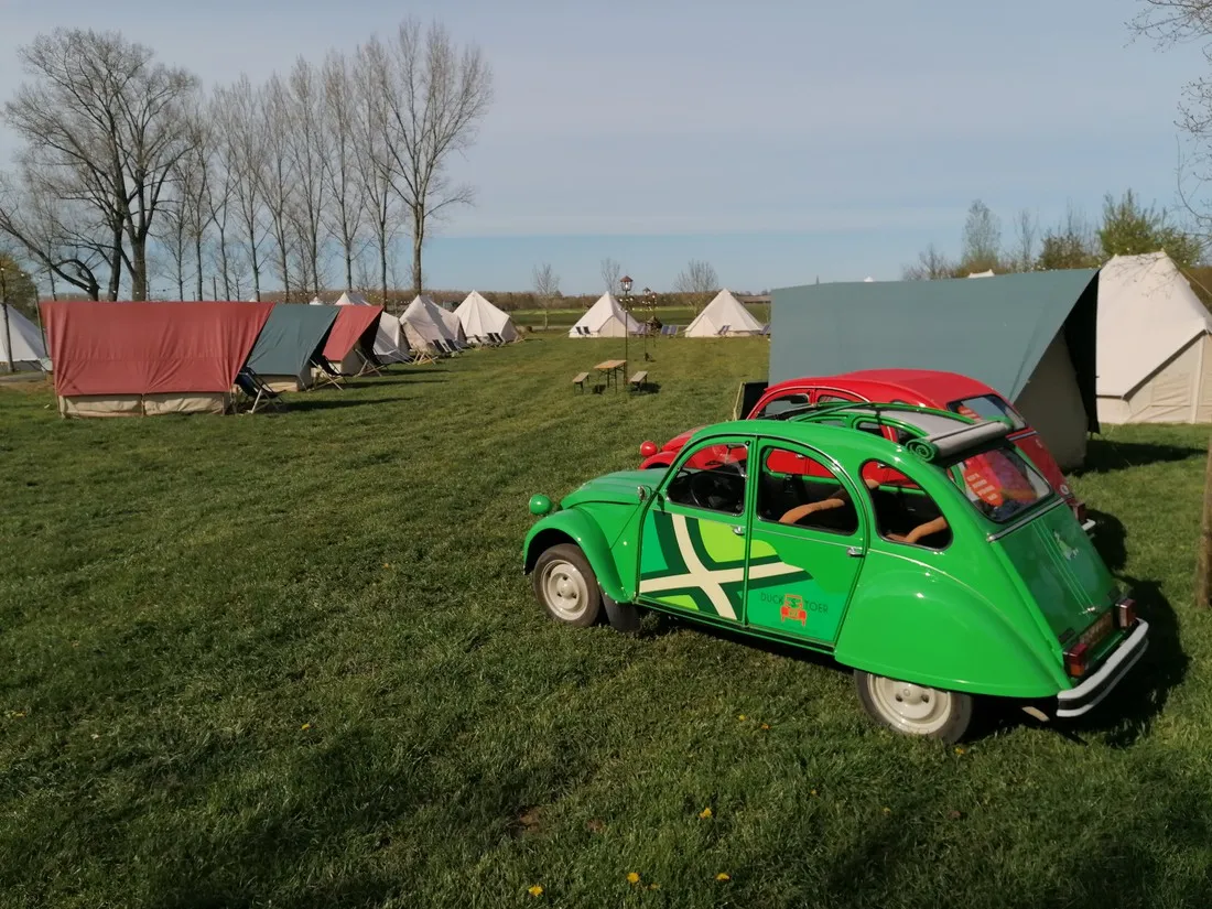 farmglamping-de-scheurwei-toldijk-symgi