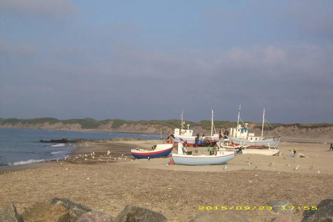 vorupor-camping-thisted-1olps