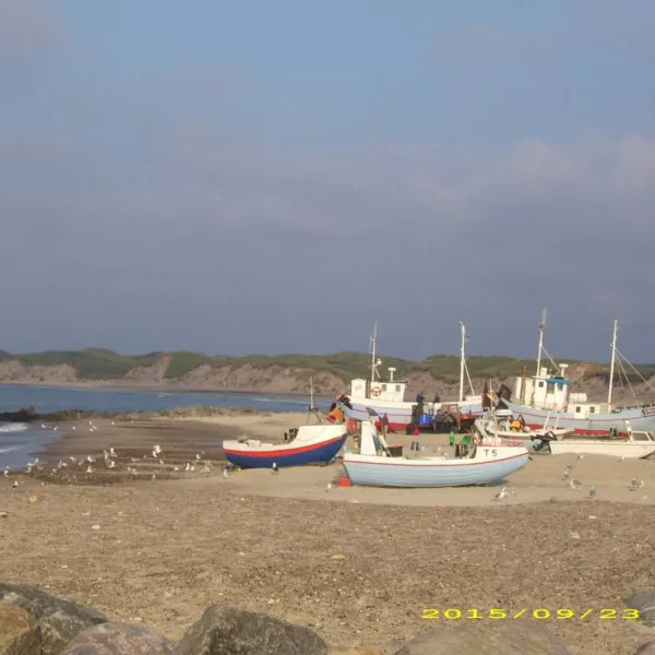 vorupor-camping-thisted-1olps