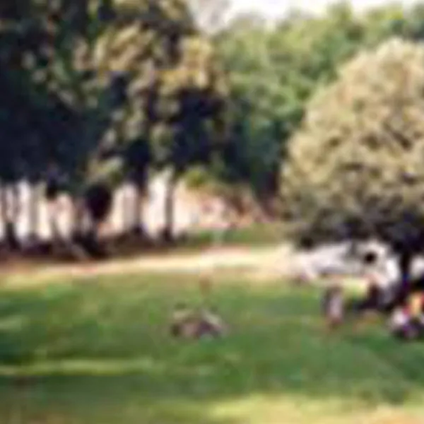 camping-municipal-du-lac-st-helene-bujaleuf-my2pl