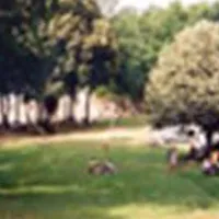 camping-municipal-du-lac-st-helene-bujaleuf-my2pl