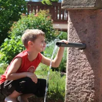 schlosshof-camping-am-bauernhof-elzach-c5efa