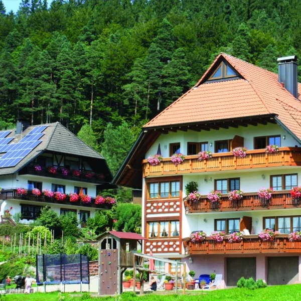 schlosshof-camping-am-bauernhof-elzach-g4rq8