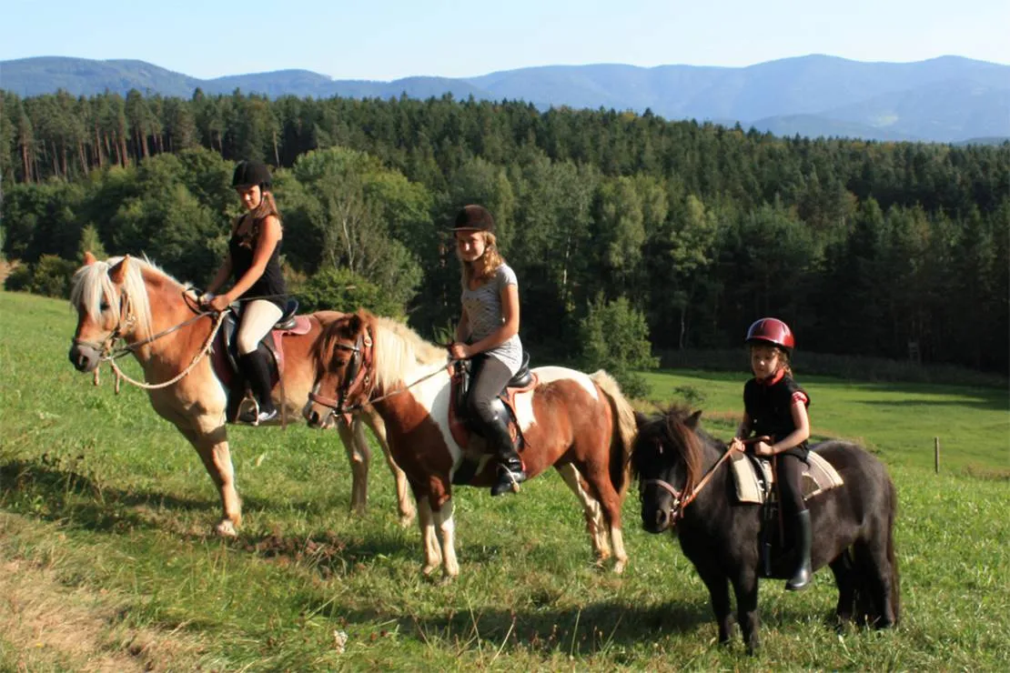 schlosshof-camping-am-bauernhof-elzach-jkbub