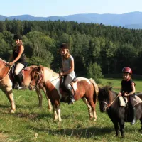 schlosshof-camping-am-bauernhof-elzach-jkbub