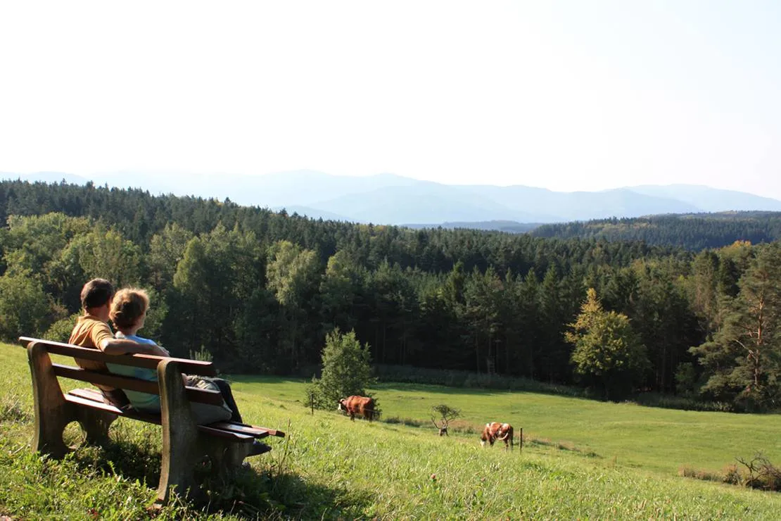 schlosshof-camping-am-bauernhof-elzach-jmkhe