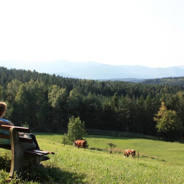 schlosshof-camping-am-bauernhof-elzach-jmkhe