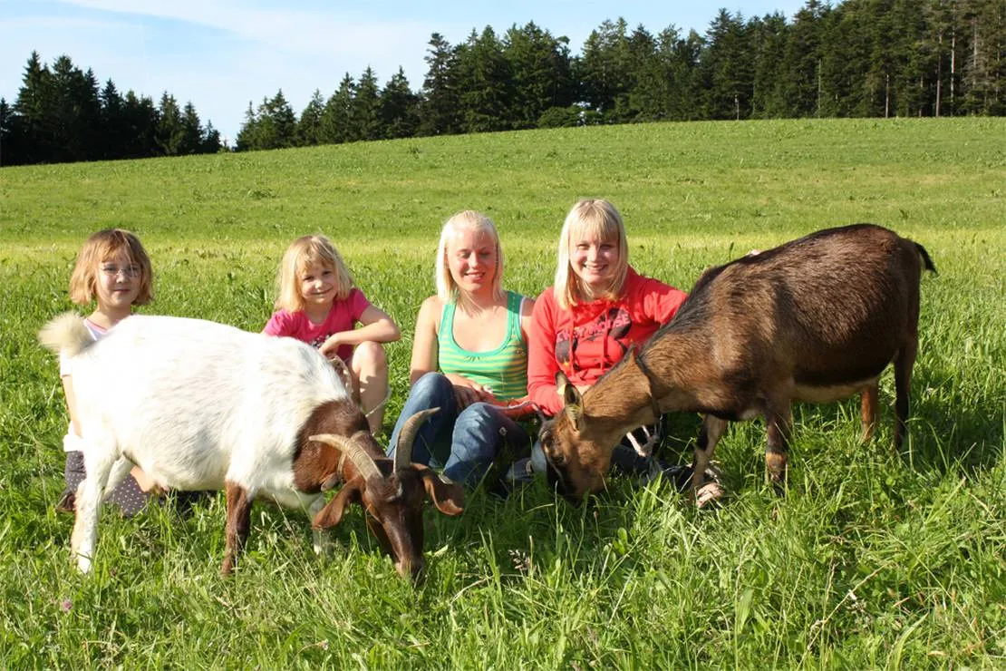 schlosshof-camping-am-bauernhof-elzach-qtwxp