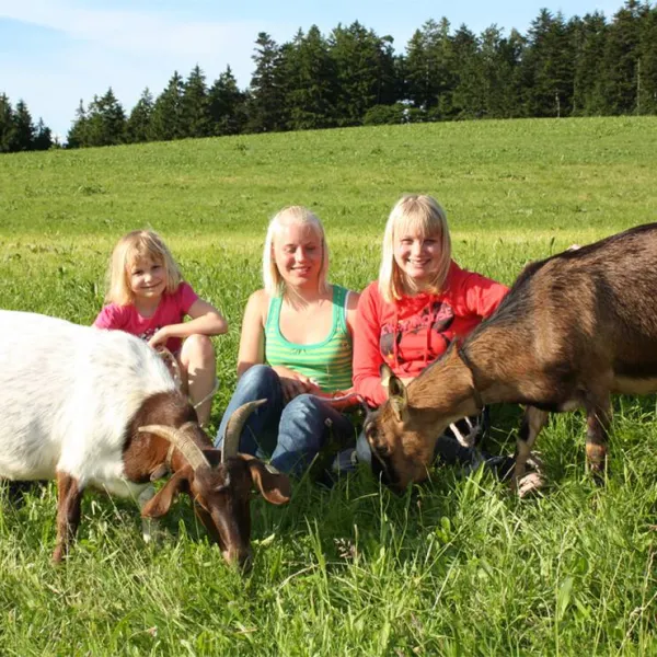 schlosshof-camping-am-bauernhof-elzach-qtwxp