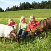 schlosshof-camping-am-bauernhof-elzach-qtwxp