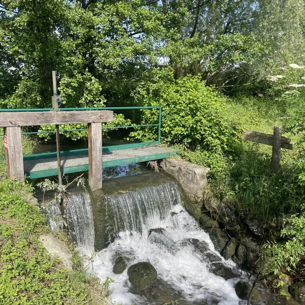 camping-la-venise-de-louest-la-ferte-bernard-mv11j