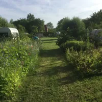 de-groene-donk-den-dungen-tbmow
