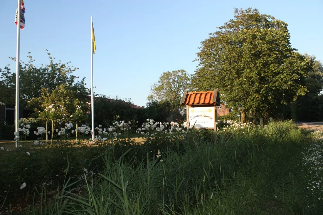mini-camping-leeuwendamme-serooskerke-walcheren-1-yvcus