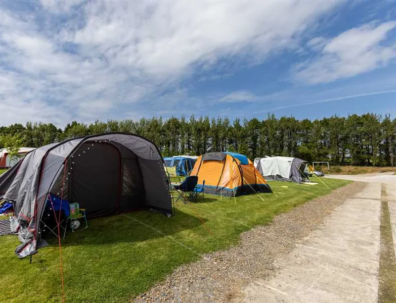 woodview-campsite-bude-4cftu