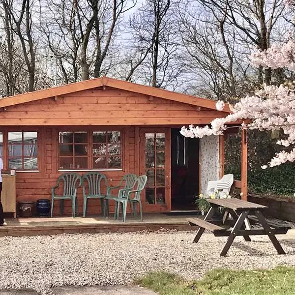 woodview-campsite-bude-i6piy