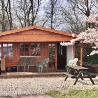 woodview-campsite-bude-i6piy