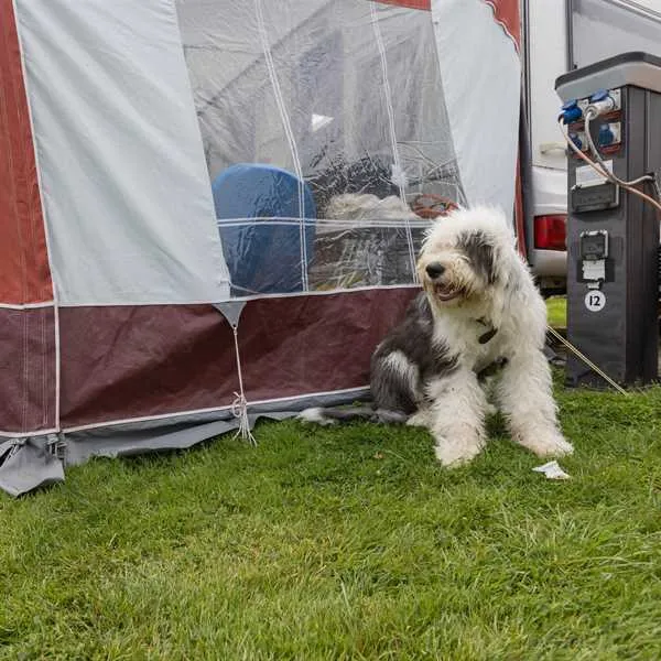 woodview-campsite-bude-rvqhp