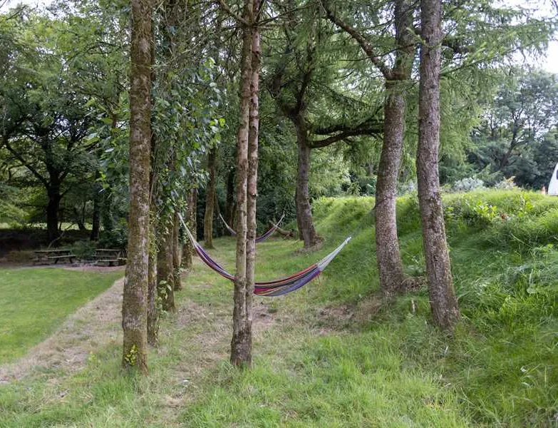 woodview-campsite-bude-x1kz8