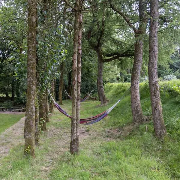 woodview-campsite-bude-x1kz8