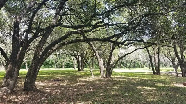 live-oak-ridge-campground-belton-liuo1