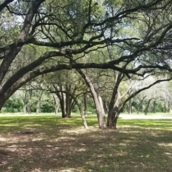 live-oak-ridge-campground-belton-liuo1