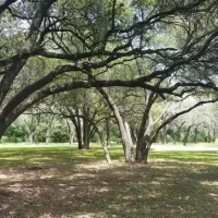 live-oak-ridge-campground-belton-liuo1