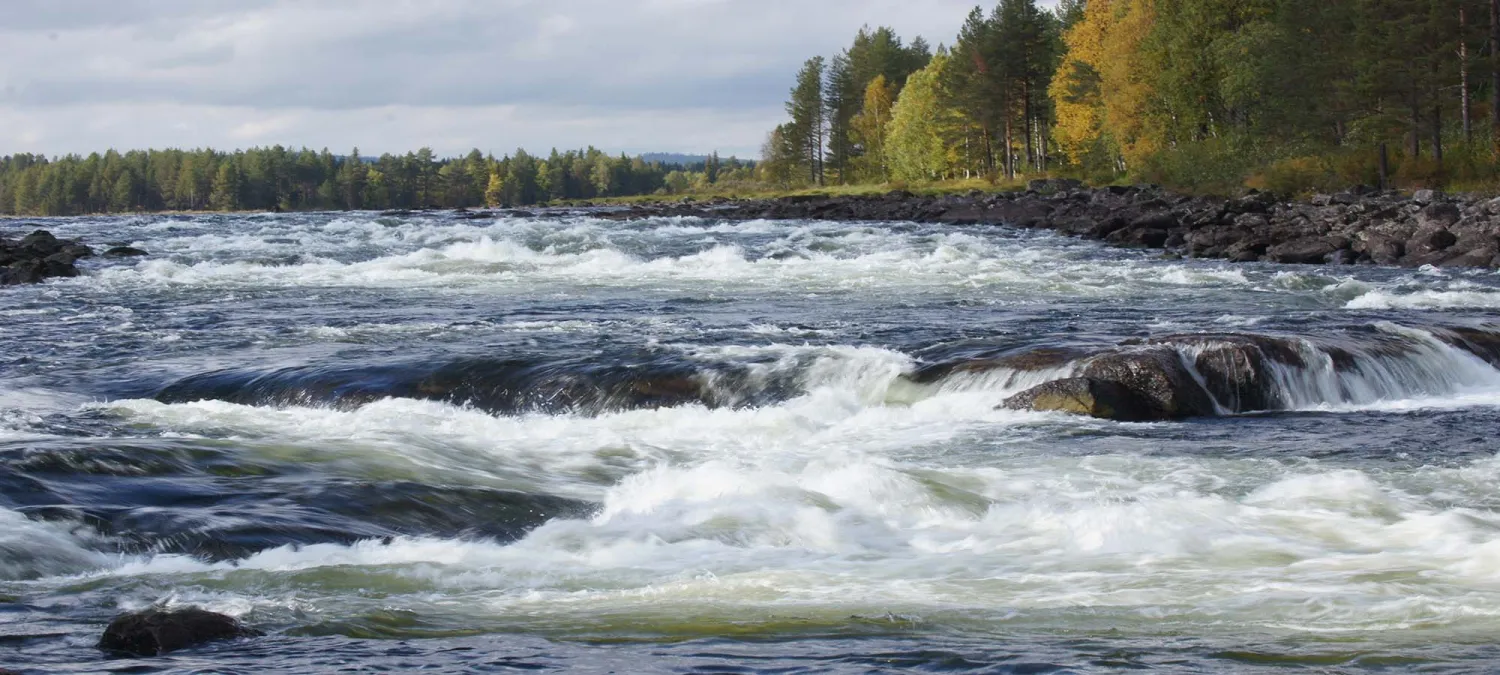 orrkulla-camping-blattnicksele-3xqz4