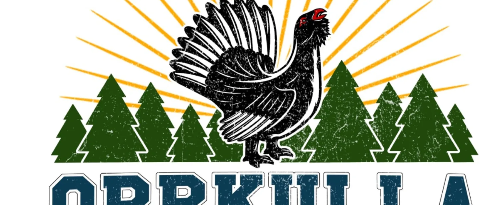 Orrkulla Camping