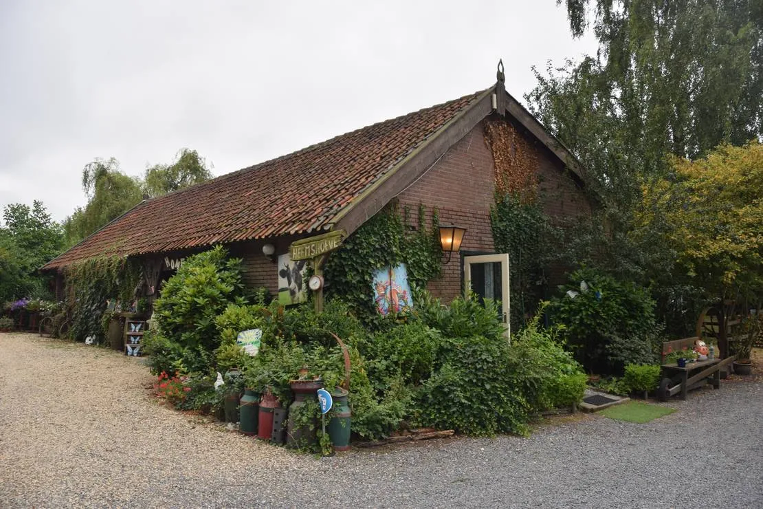 mini-camping-de-heemshoeve-moerstraten-fw0gf