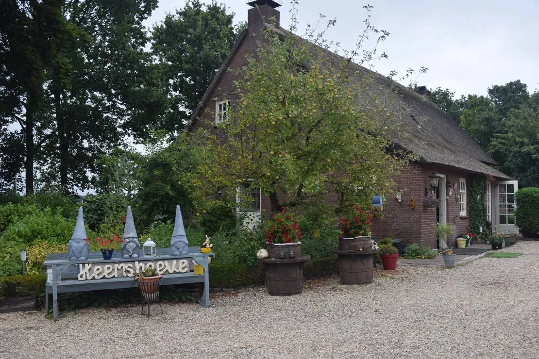mini-camping-de-heemshoeve-moerstraten-vvpe0
