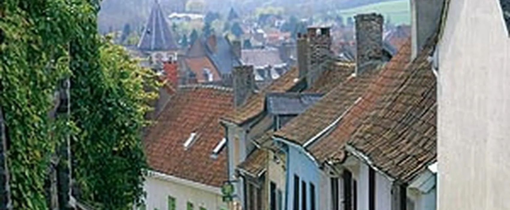 Municipal des Peupliers