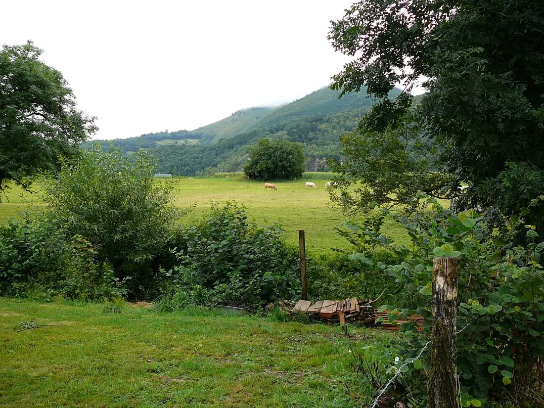 de-sarsan-lourdes-hauts-pyrenees-i1rhu