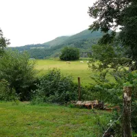 de-sarsan-lourdes-hauts-pyrenees-i1rhu