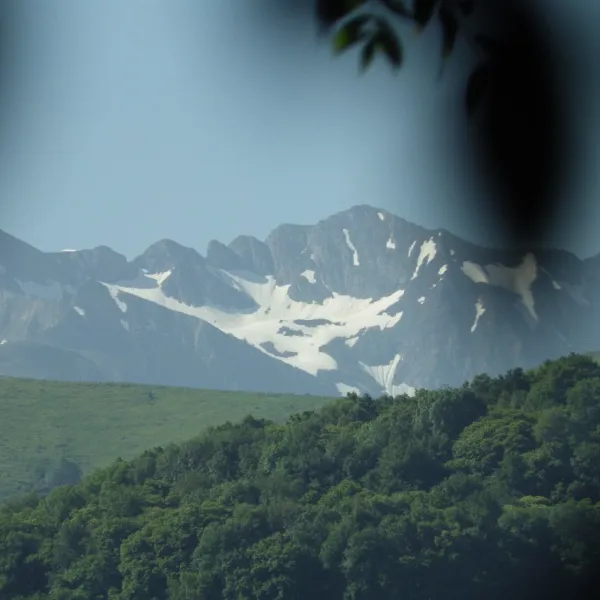 de-sarsan-lourdes-hauts-pyrenees-t3okg