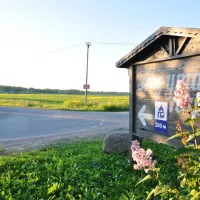 tuutari-camping-lomonosov-iwiqm