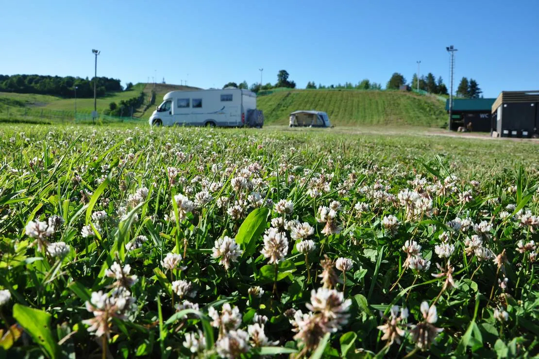 tuutari-camping-lomonosov-qqtvd