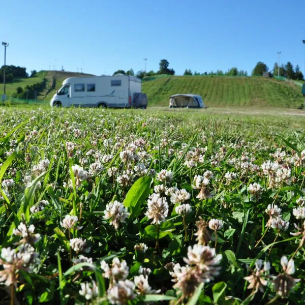 tuutari-camping-lomonosov-qqtvd