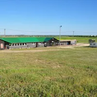 tuutari-camping-lomonosov-ufut2