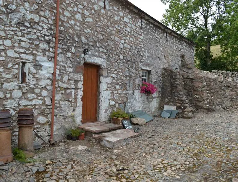 wild-wool-barn-cleator-bggus