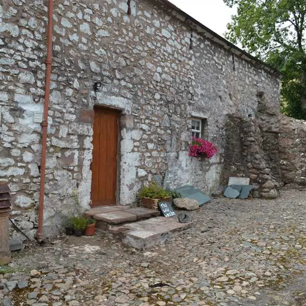 wild-wool-barn-cleator-bggus