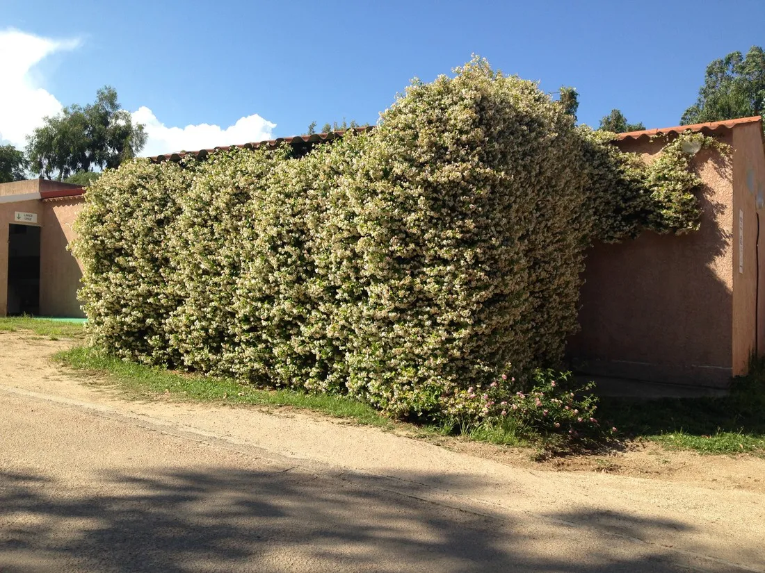 les-ilots-dor-porto-vecchio-zgzf8