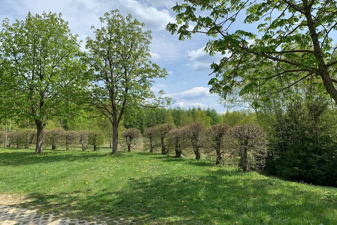 berghotel-drei-bruder-hohe-marienberg-b8qht