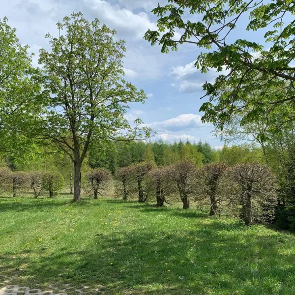 berghotel-drei-bruder-hohe-marienberg-b8qht