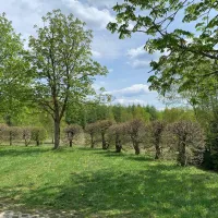 Berghotel Drei Brüder Höhe