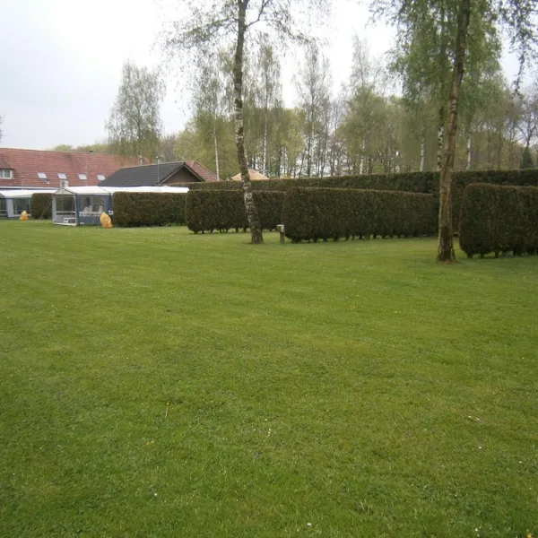 de-harscamp-harskamp-qdgmw